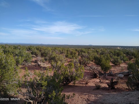 Tiny photo for 8938 Buffalo Ridge Lane, White Mountain Lake, AZ 85912 (MLS # 258926)