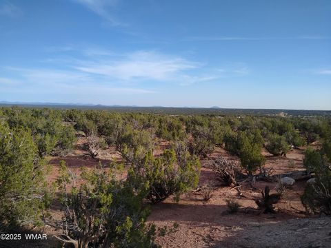 Tiny photo for 8938 Buffalo Ridge Lane, White Mountain Lake, AZ 85912 (MLS # 258926)