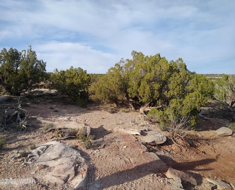 Photo of 8938 Buffalo Ridge Lane, White Mountain Lake, AZ 85912 (MLS # 258926)