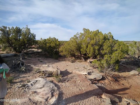 Photo of 8938 Buffalo Ridge Lane, White Mountain Lake, AZ 85912 (MLS # 258926)