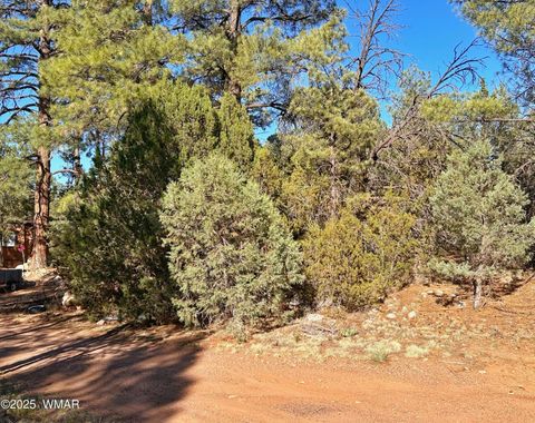 Tiny photo for 3377 Mogollon Drive, Overgaard, AZ 85933 (MLS # 256699)