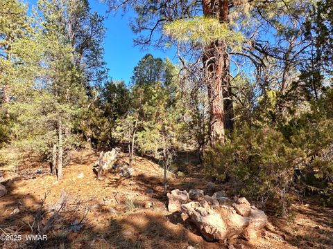 Photo of 3377 Mogollon Drive, Overgaard, AZ 85933 (MLS # 256699)