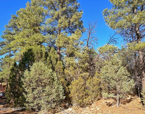 Tiny photo for 3377 Mogollon Drive, Overgaard, AZ 85933 (MLS # 256699)