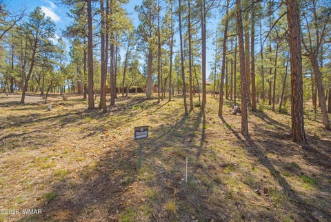 Tiny photo for 1522 Mainline Road, Heber, AZ 85928 (MLS # 263088)