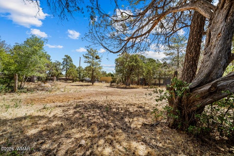 Tiny photo for 2961 Deer Trail, Overgaard, AZ 85933 (MLS # 262417)