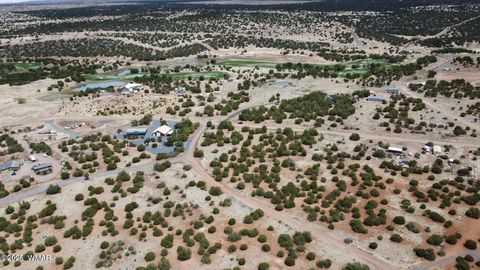 Tiny photo for 1985 Tee Street, White Mountain Lake, AZ 85912 (MLS # 258949)
