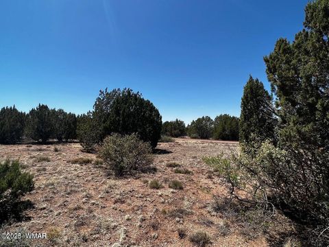 Tiny photo for 1985 Tee Street, White Mountain Lake, AZ 85912 (MLS # 258949)