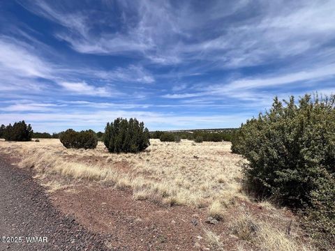 Tiny photo for 1985 Tee Street, White Mountain Lake, AZ 85912 (MLS # 258949)