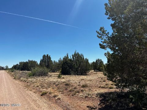 Tiny photo for 1985 Tee Street, White Mountain Lake, AZ 85912 (MLS # 258949)