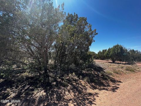 Tiny photo for 1985 Tee Street, White Mountain Lake, AZ 85912 (MLS # 258949)