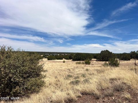 Tiny photo for 1985 Tee Street, White Mountain Lake, AZ 85912 (MLS # 258949)