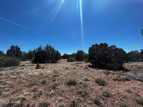 Tiny photo for 1985 Tee Street, White Mountain Lake, AZ 85912 (MLS # 258949)