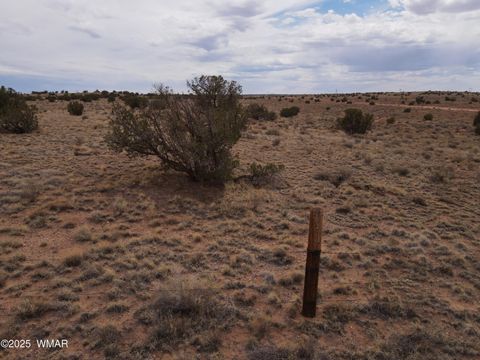 Photo of 5489 White Antelope Road, Snowflake, AZ 85937 (MLS # 257248)