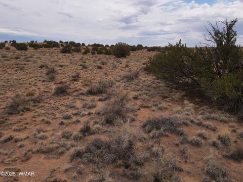 Tiny photo for 5489 White Antelope Road, Snowflake, AZ 85937 (MLS # 257248)