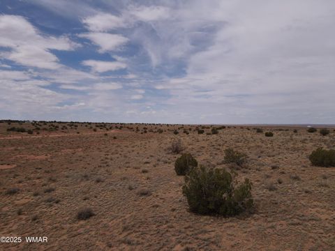 Tiny photo for 5489 White Antelope Road, Snowflake, AZ 85937 (MLS # 257248)
