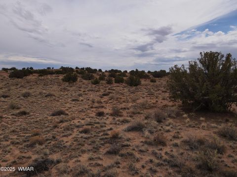 Tiny photo for 5489 White Antelope Road, Snowflake, AZ 85937 (MLS # 257248)
