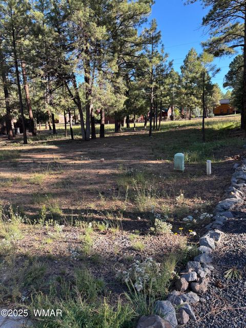 Tiny photo for 5003 Winter Hawk Court, Lakeside, AZ 85929 (MLS # 258188)
