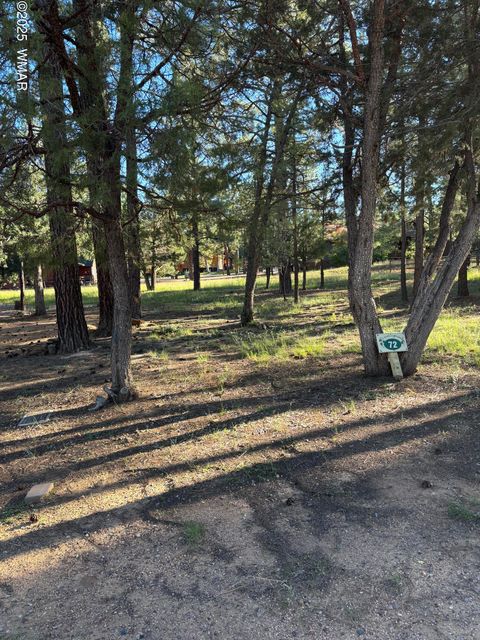 Photo of 5003 Winter Hawk Court, Lakeside, AZ 85929 (MLS # 258188)