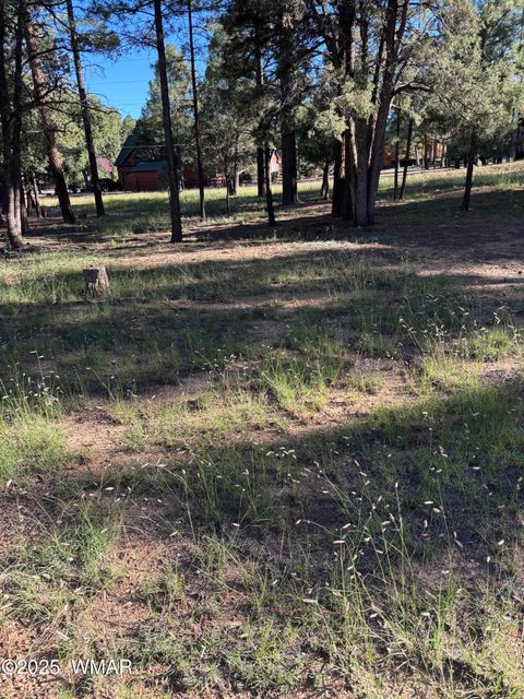 Tiny photo for 5003 Winter Hawk Court, Lakeside, AZ 85929 (MLS # 258188)