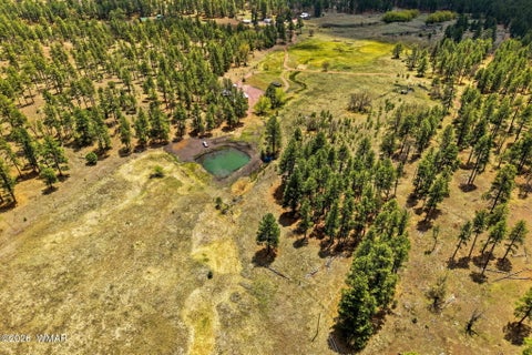 Tiny photo for 28 County Road 2310, Alpine, AZ 85920 (MLS # 261020)