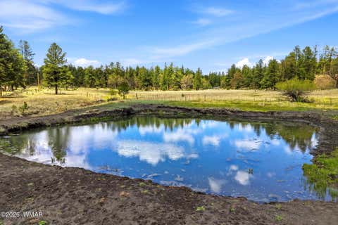 Tiny photo for 28 County Road 2310, Alpine, AZ 85920 (MLS # 261020)