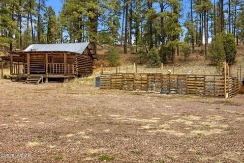 Tiny photo for 28 County Road 2310, Alpine, AZ 85920 (MLS # 261020)