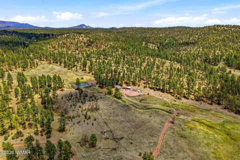 Tiny photo for 28 County Road 2310, Alpine, AZ 85920 (MLS # 261020)