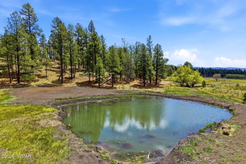 Tiny photo for 28 County Road 2310, Alpine, AZ 85920 (MLS # 261020)