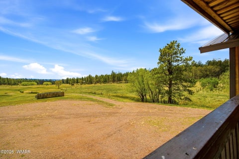 Tiny photo for 28 County Road 2310, Alpine, AZ 85920 (MLS # 261020)