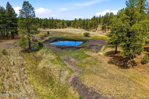 Tiny photo for 28 County Road 2310, Alpine, AZ 85920 (MLS # 261020)
