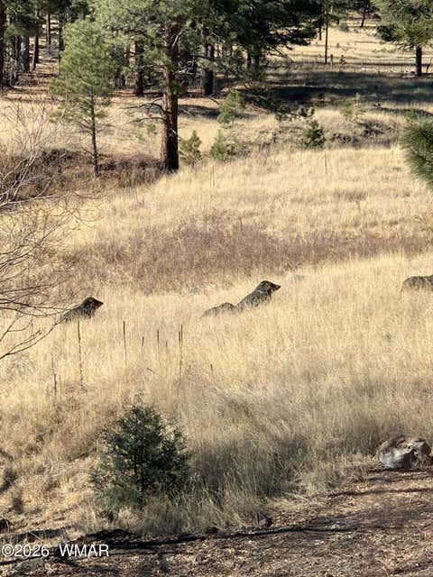 Tiny photo for 28 County Road 2310, Alpine, AZ 85920 (MLS # 261020)
