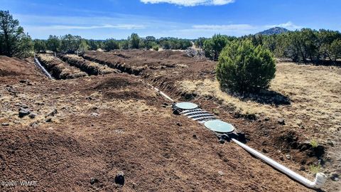 Photo of 1638 Trinity Place, Show Low, AZ 85901 (MLS # 259834)