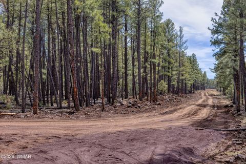 Tiny photo for 1 Acre Birdsong Way, Lakeside, AZ 85929 (MLS # 259764)