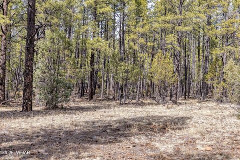 Tiny photo for 1 Acre Birdsong Way, Lakeside, AZ 85929 (MLS # 259764)