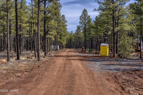 Tiny photo for 1 Acre Birdsong Way, Lakeside, AZ 85929 (MLS # 259764)