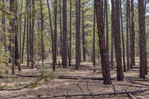 Tiny photo for 1 Acre Birdsong Way, Lakeside, AZ 85929 (MLS # 259764)
