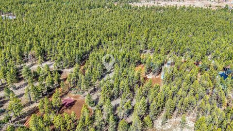Tiny photo for 1 Acre Birdsong Way, Lakeside, AZ 85929 (MLS # 259764)