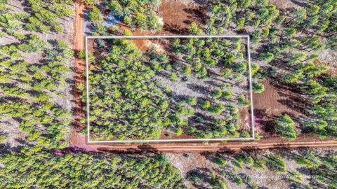 Tiny photo for 1 Acre Birdsong Way, Lakeside, AZ 85929 (MLS # 259764)