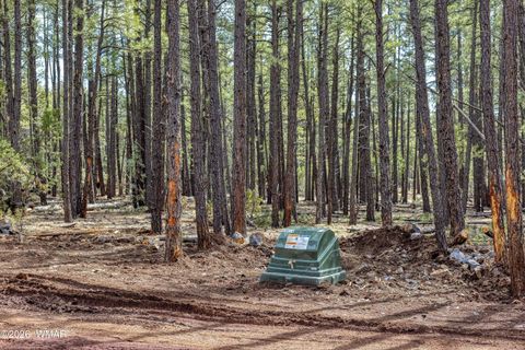 Tiny photo for 1 Acre Birdsong Way, Lakeside, AZ 85929 (MLS # 259764)