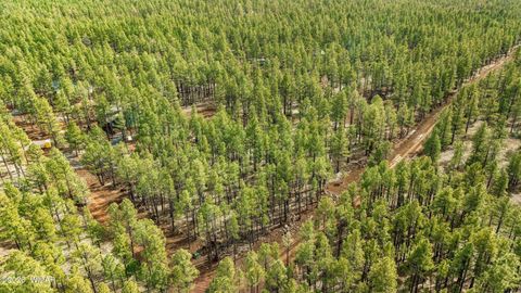 Tiny photo for 1 Acre Birdsong Way, Lakeside, AZ 85929 (MLS # 259764)