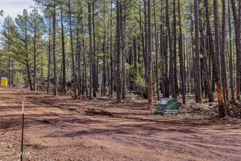 Tiny photo for 1 Acre Birdsong Way, Lakeside, AZ 85929 (MLS # 259764)