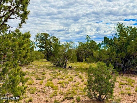 Tiny photo for 0 Dusty Rose Ranch Rd #C 12 Acre, Seligman, AZ 86337 (MLS # 263418)