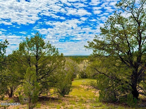 Photo of 0 Dusty Rose Ranch Rd #C 12 Acre, Seligman, AZ 86337 (MLS # 263418)