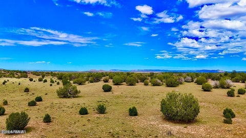Tiny photo for 0 Dusty Rose Ranch Rd #C 12 Acre, Seligman, AZ 86337 (MLS # 263418)