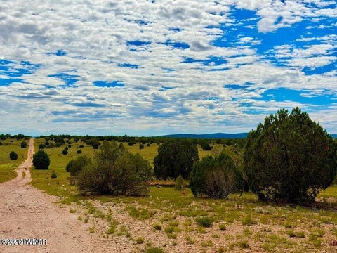 Tiny photo for 0 Dusty Rose Ranch Rd #C 12 Acre, Seligman, AZ 86337 (MLS # 263418)