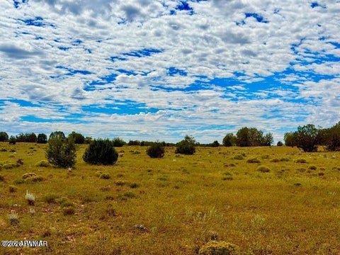 Tiny photo for 0 Dusty Rose Ranch Rd #C 12 Acre, Seligman, AZ 86337 (MLS # 263418)