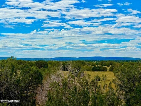 Tiny photo for 0 Dusty Rose Ranch Rd #C 12 Acre, Seligman, AZ 86337 (MLS # 263418)