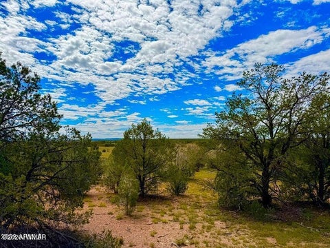 Tiny photo for 0 Dusty Rose Ranch Rd #C 12 Acre, Seligman, AZ 86337 (MLS # 263418)