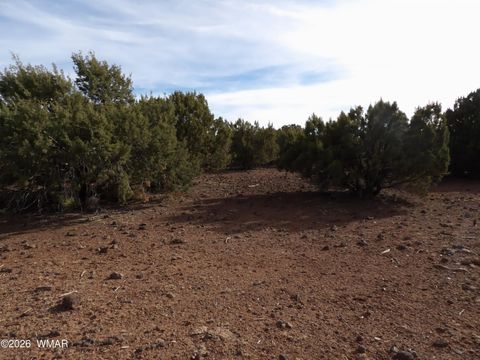 Tiny photo for Lot 14D N3411, Vernon, AZ 85940 (MLS # 259704)
