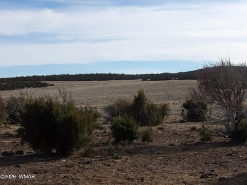 Tiny photo for Lot 14D N3411, Vernon, AZ 85940 (MLS # 259704)